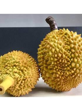 彷真榴莲模型假榴莲哈密瓜塑料金枕模型摄影小品道具水果店摆设