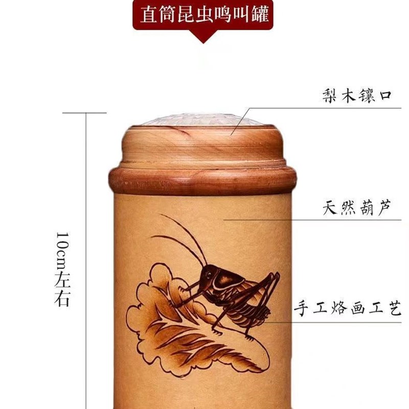 包邮天然蝈蝈罐蝈蝈葫芦笼蛐蛐笼子文玩葫芦鸣虫叫罐虫具胆簧葫芦