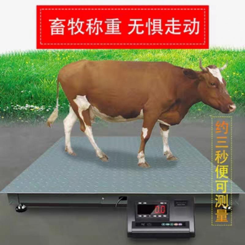 上海上海耀华地磅秤称猪秤牛防抖动带围栏1-3吨工业电子秤地磅小