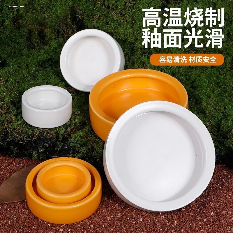 爬宠陶瓷水盆喂食盆小树蛙睫角仓鼠守宫蛇鬃狮金丝熊乌龟喂食