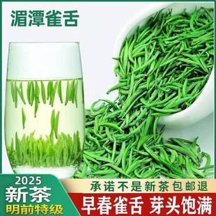 雀舌2025新茶明前特级绿茶贵州湄潭毛尖春茶叶嫩芽浓香型正品500g