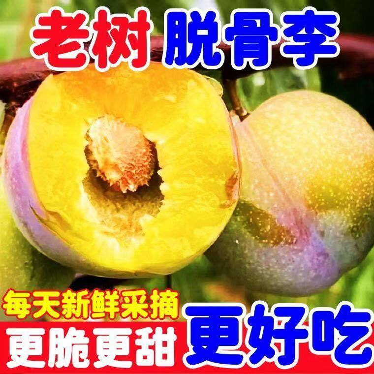 正宗半边红李子酸甜脆人工挑选