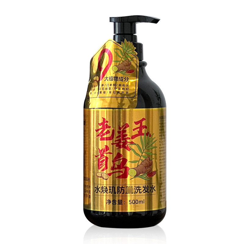水焕玑生姜洗发水防脱发500ml控油蓬松头皮屑止痒育发洗头露2300