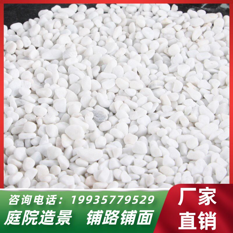 昆明鹅卵石天然小石头雨花石白色石子白石子花盆盆栽多肉装饰铺面