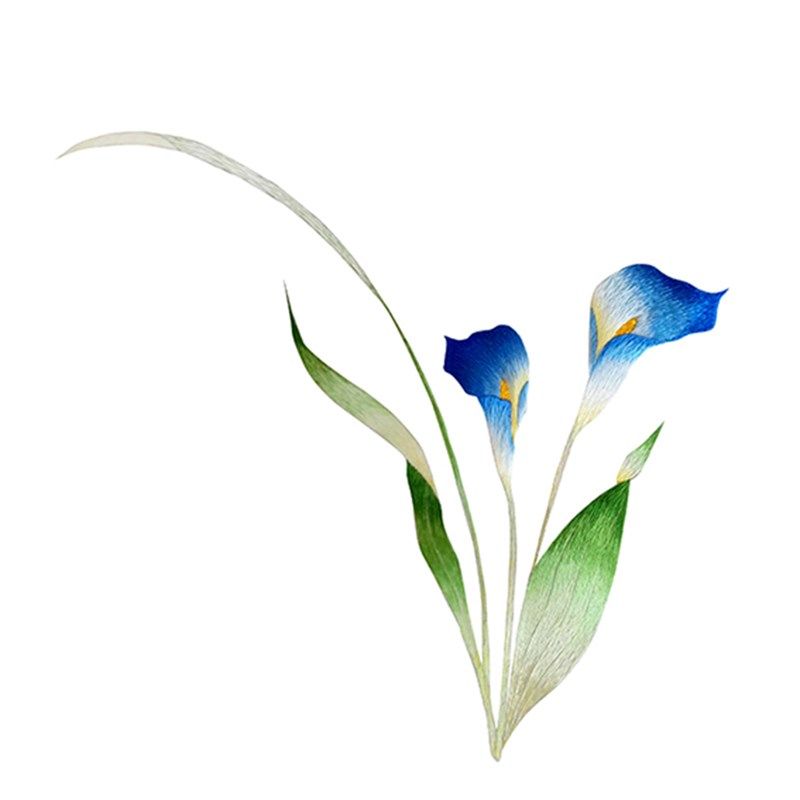 苏绣刺绣DIY套件初学 新手练手花草图 手工刺绣自学装饰画材料包