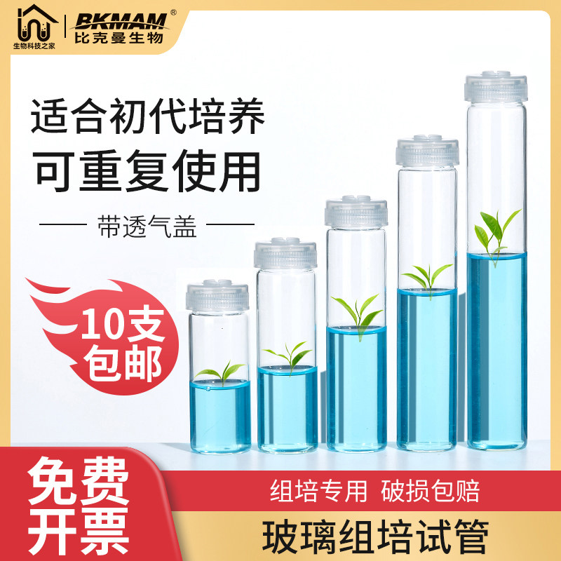 玻璃组培试管透气盖耐高温无菌菌种瓶初代植物组织培养基琼脂实验 - 实物图