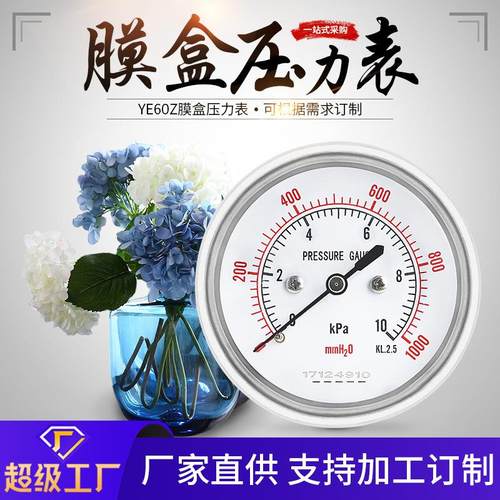 轴向无边膜盒压力表YE60Z 轴向精密压力表抗震耐压防腐蚀压力表