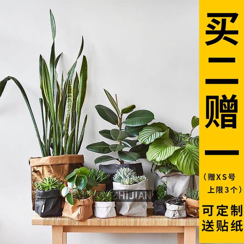 北欧水洗牛皮纸袋花盆ins风家居收纳袋冰箱蔬菜整理绿植多肉王之