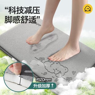 家用门口防滑门垫耐脏地毯垫子 浴室地垫卫生间吸水脚垫2024新B款