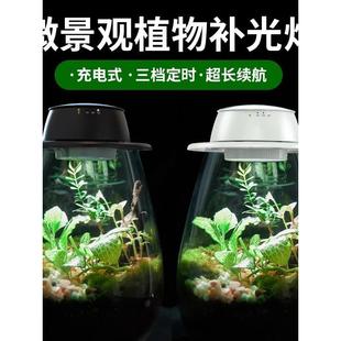 「空城里」无线充电式植物补光灯微景观全光谱露集杯LED生长灯