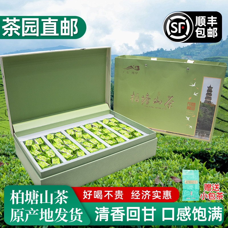 柏塘山茶小雪茶广东十大名茶惠州博罗特级绿茶礼盒装客家送礼茶叶