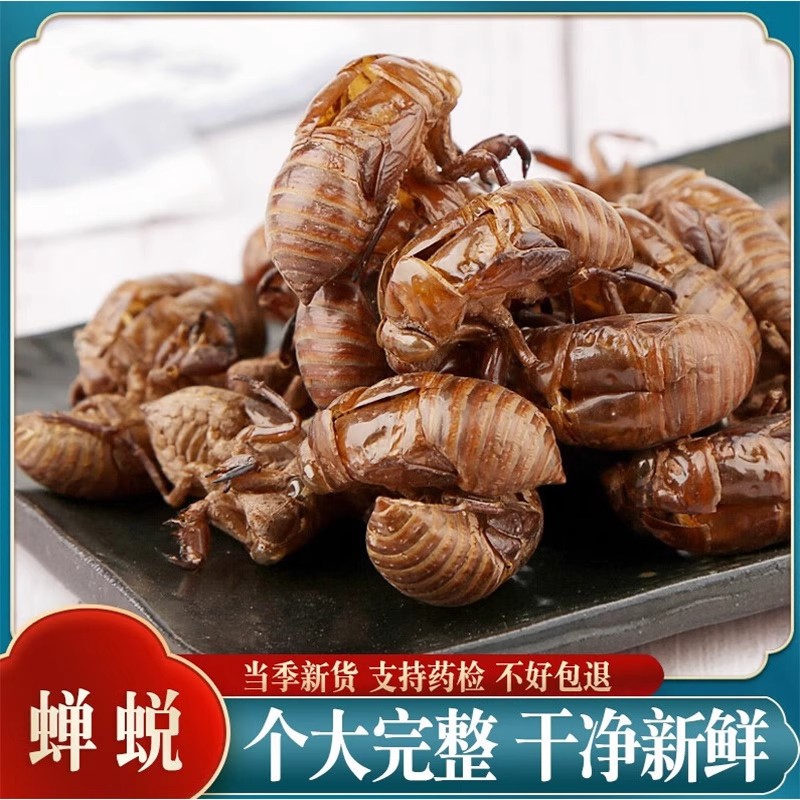 蝉蜕500g克蝉衣新货金蝉衣蝉壳知了皮知了壳虫退蝉退壳中药材野生