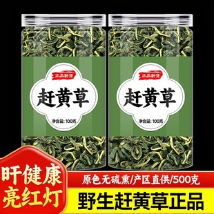 四川古蔺赶黄草正品护保茶泡水喝熬夜常备养生茶野生特级溪黄草