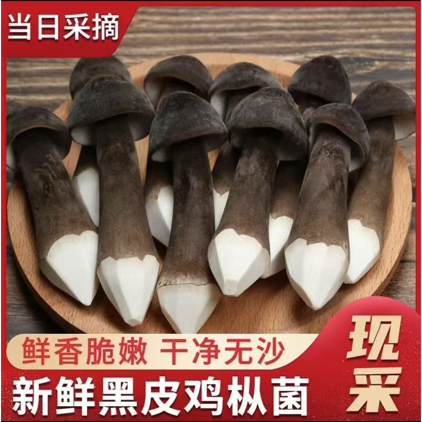 黑皮鸡枞菌干货500g新云南