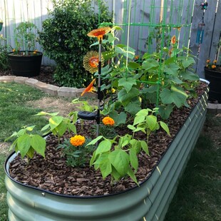 菜床一米花园金属种植床箱框x铁皮蔬菜花盆户外庭院阳台圆形有底