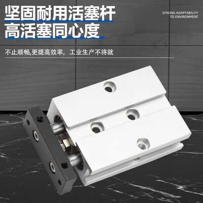 双杆双轴气缸TN32X10X45X150X75X10z0X70X15X20X25X30X35X40S-CMS