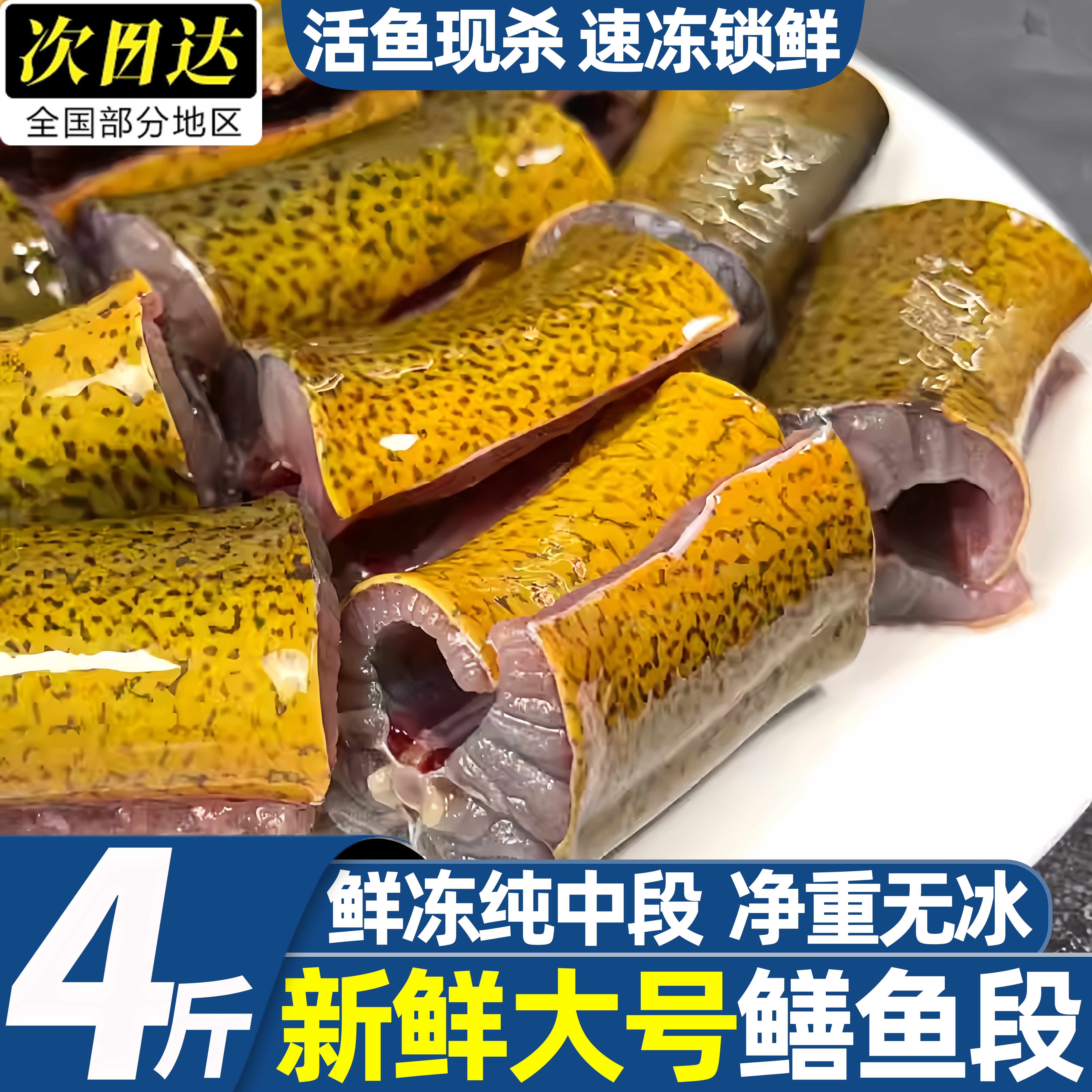 冷冻现杀去内脏去肠鳝鱼段
