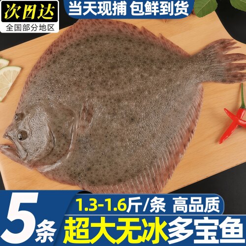 冷冻特大整条多宝鱼商用批发