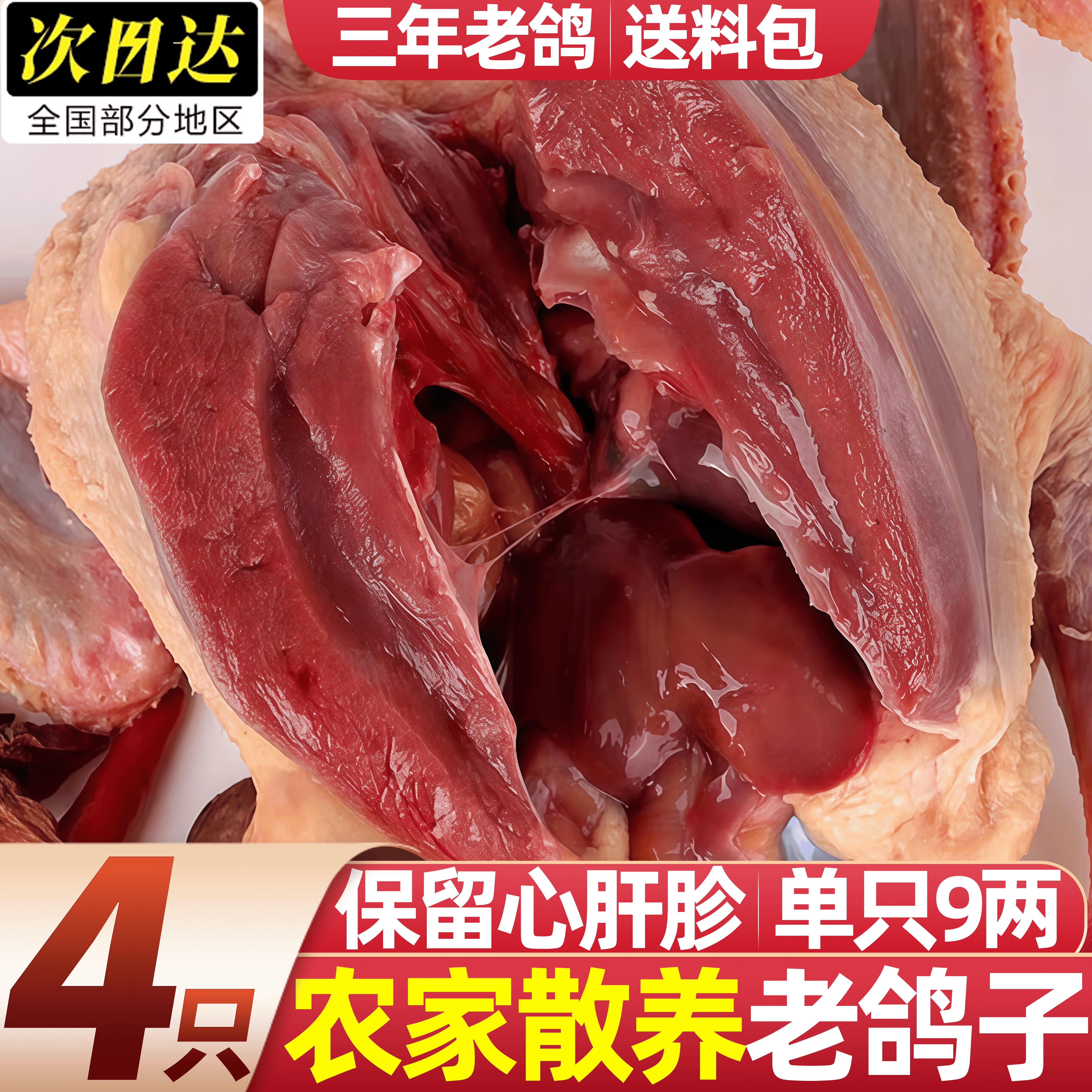 新鲜农家散养土鸽营养健康滋补