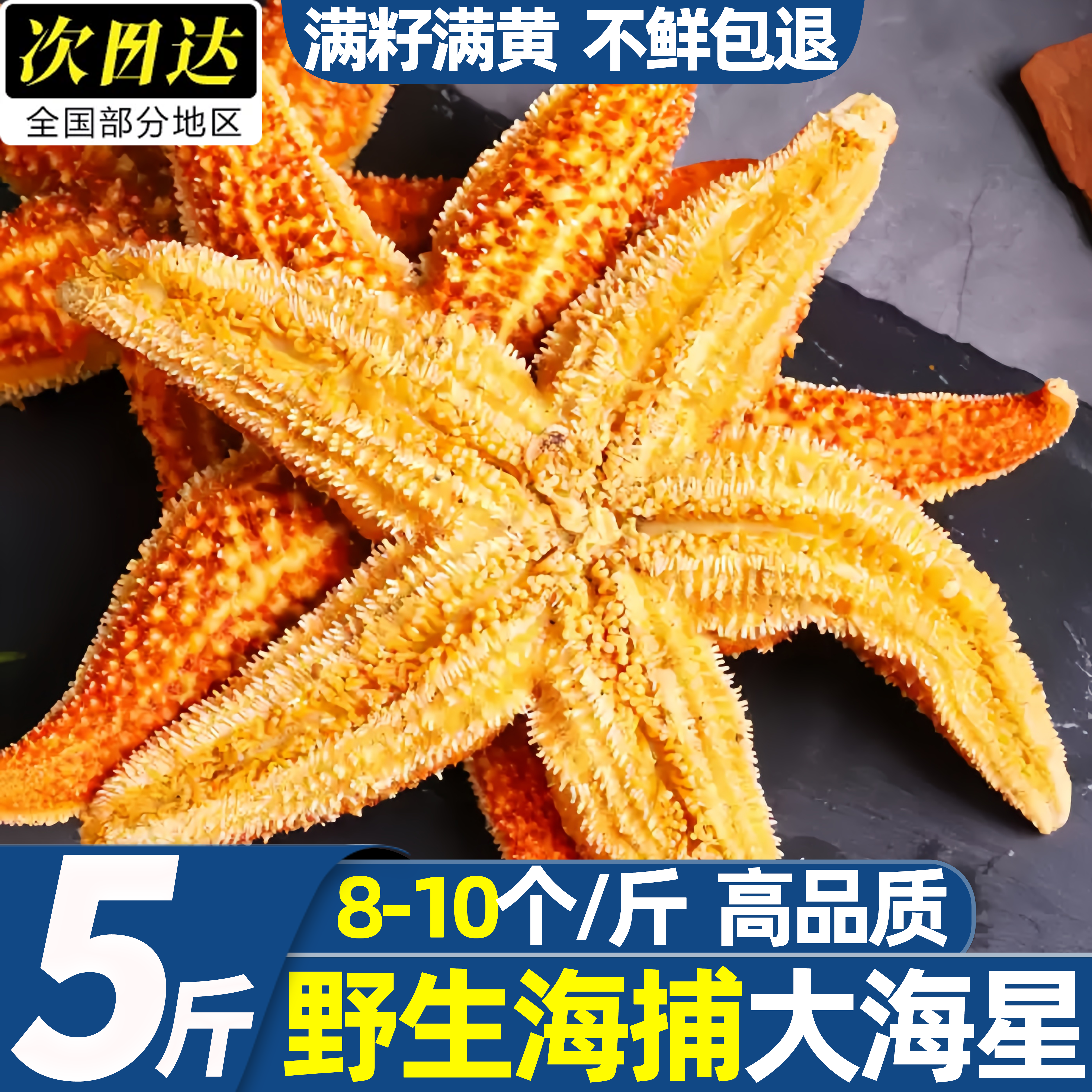 冷冻满籽五角星海星包邮