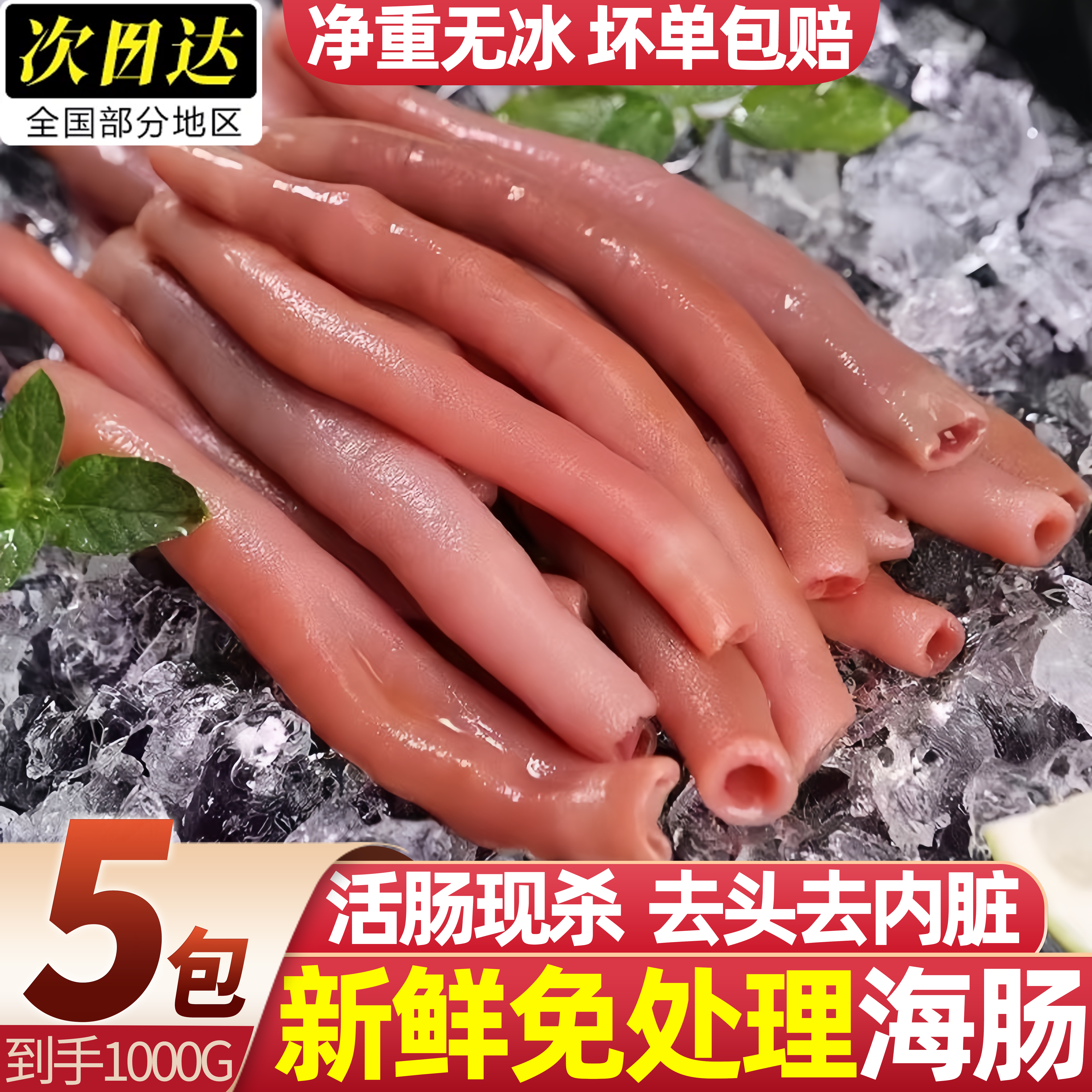 海肠新鲜冷冻无冰速冻鲜活