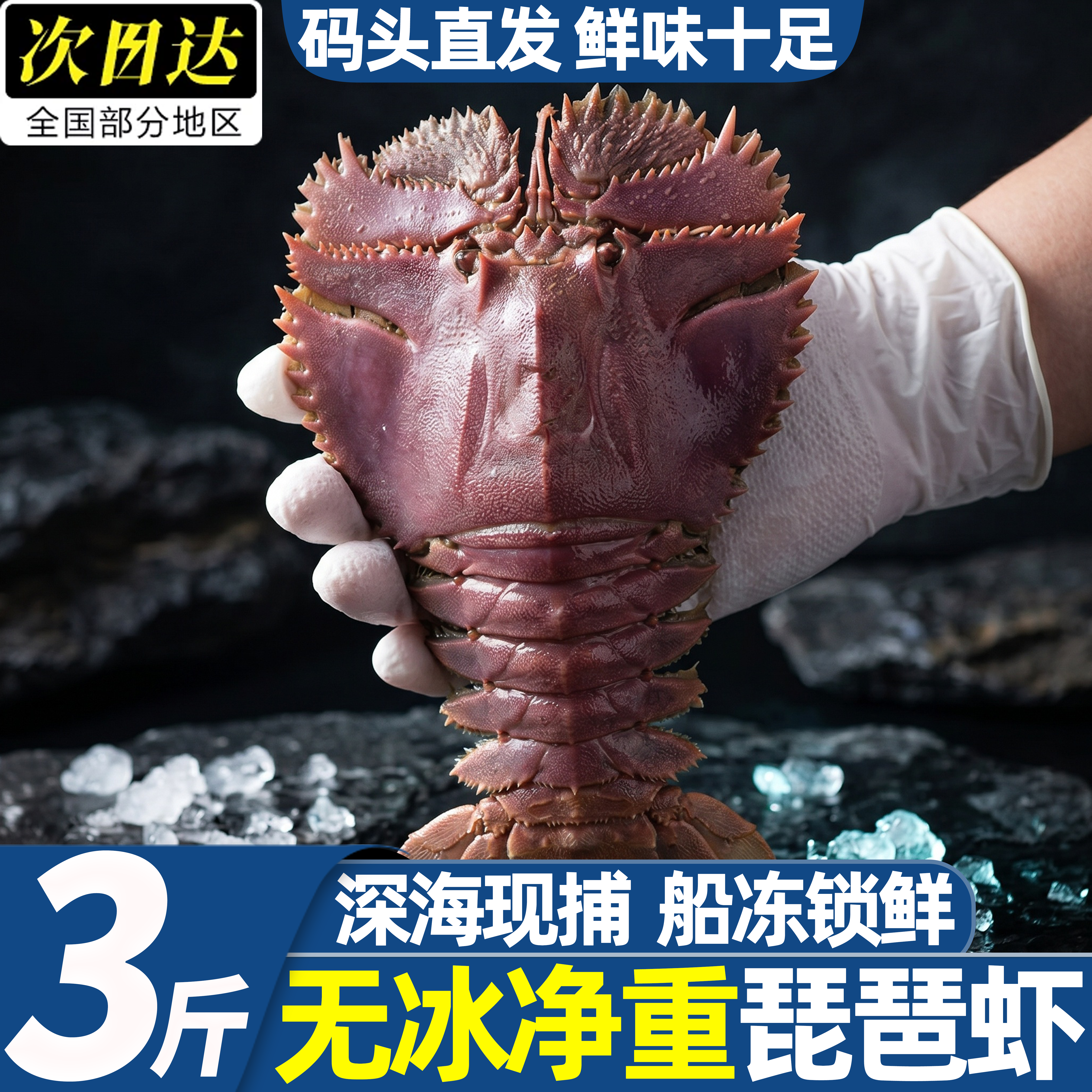 北海特大九齿扇虾冷冻生鲜