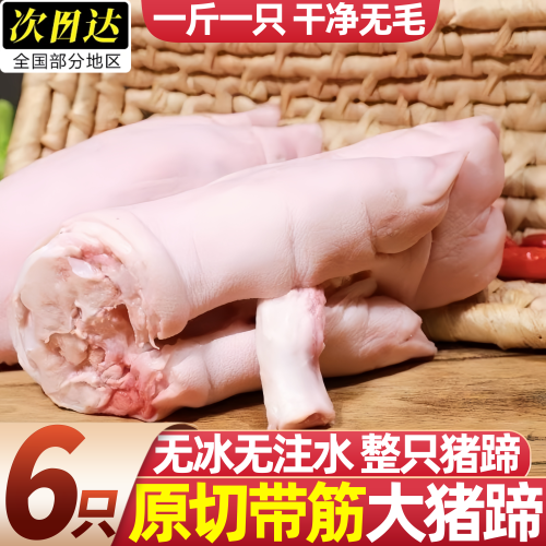 冷冻整箱带筋猪前蹄生鲜批发