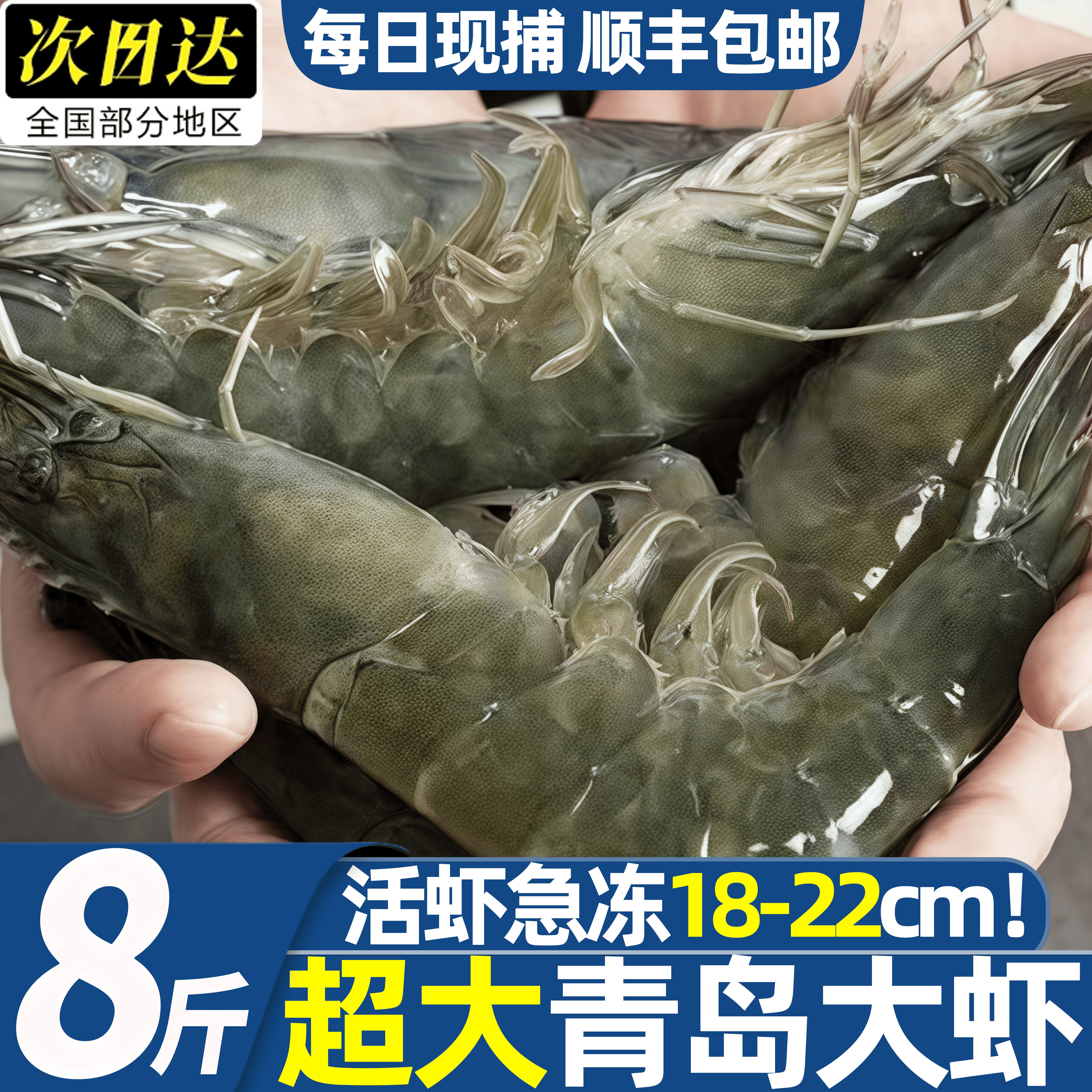 大海十三青岛特大速冻虾整箱
