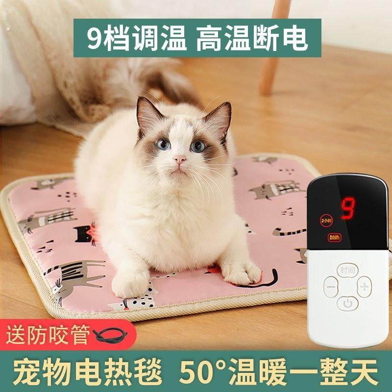 发热孵化狗狗蜜袋鼯替代品鹦鹉专用电热毯加热垫保温毯取暖器鸟类,宠物/宠物食品及用品,宠物电热板/电热毯,淘宝优惠券,粉丝福利购,淘宝优惠卷