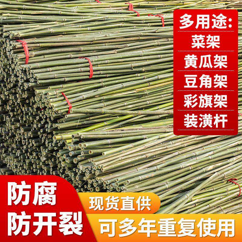 竹杆农用竹竿豆角黄瓜西红柿支架杆辣椒架子蔬菜瓜果爬藤旗杆