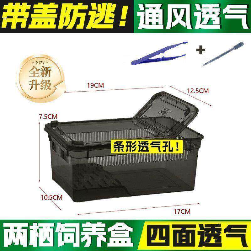 爬宠饲养盒乌龟寄居蟹水陆两栖角蛙盒饲养箱塑料盒子