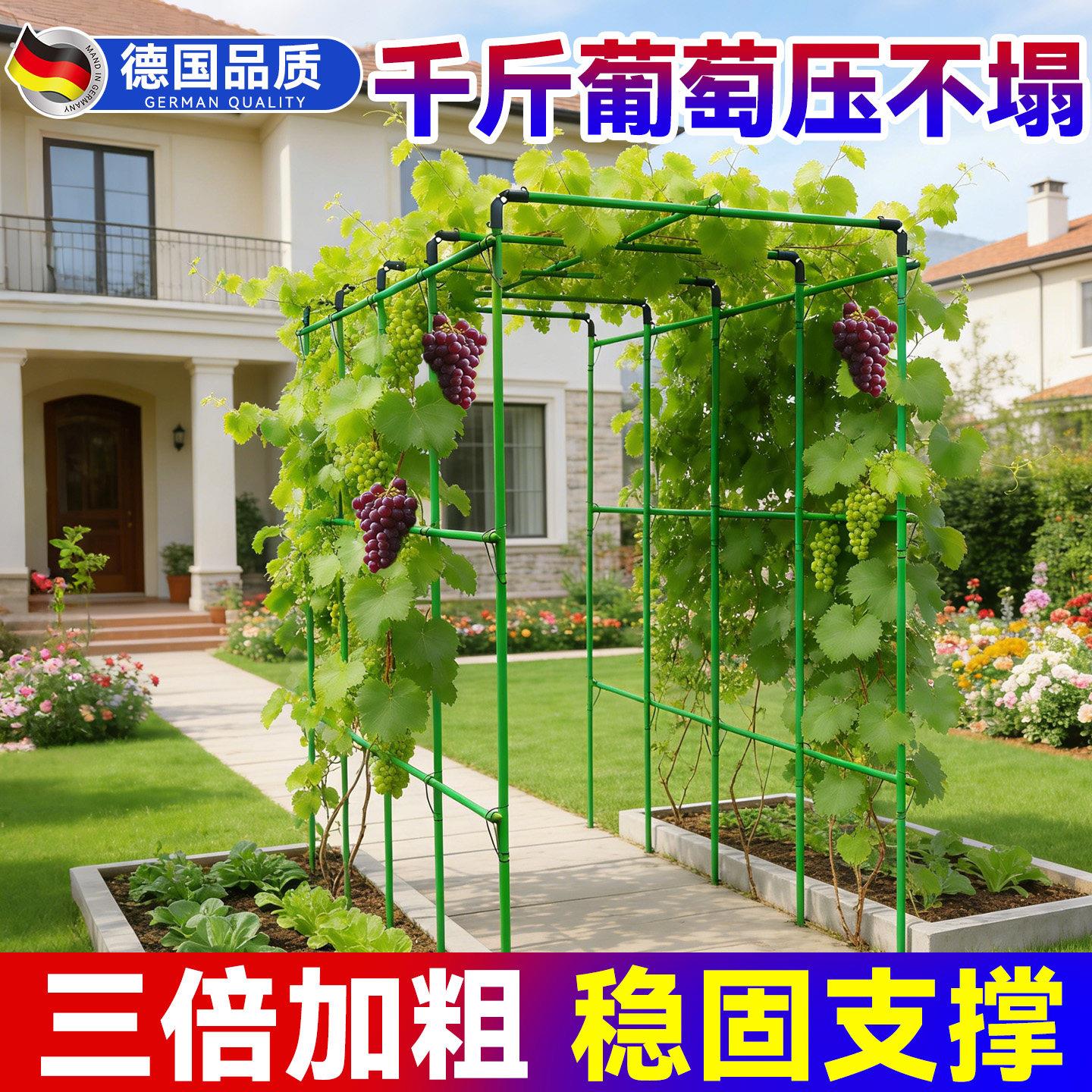 葡萄爬藤架黄瓜架杆丝瓜蔬菜种菜架子葡萄架子庭院户外固定支撑架