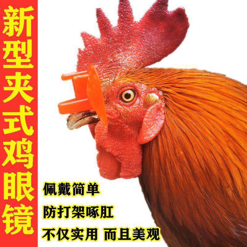 卡式鸡眼镜新型夹式无栓眼罩大号鸡戴的眼镜鸡眼睛小鸡防打架互啄