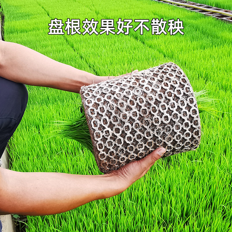 生升农业水稻育秧基质早中晚稻水稻育苗育秧基质营养土插秧机60升