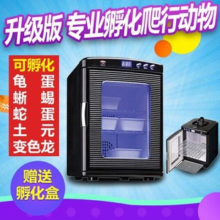 爬宠孵化箱乌龟蛋全自动孵化机 爬行动物孵化器 蜥蜴爬虫孵化箱