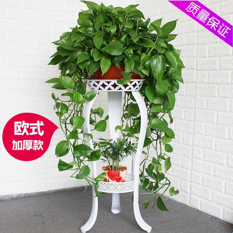 欧式花架子室内单层铁艺花盆架落地式阳台吊兰绿植绿萝花架