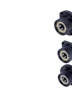 带扣环双轴承组件BGRBB6002ZZ-30/BGSBB6002ZZ-30/BGCBB6002ZZ-