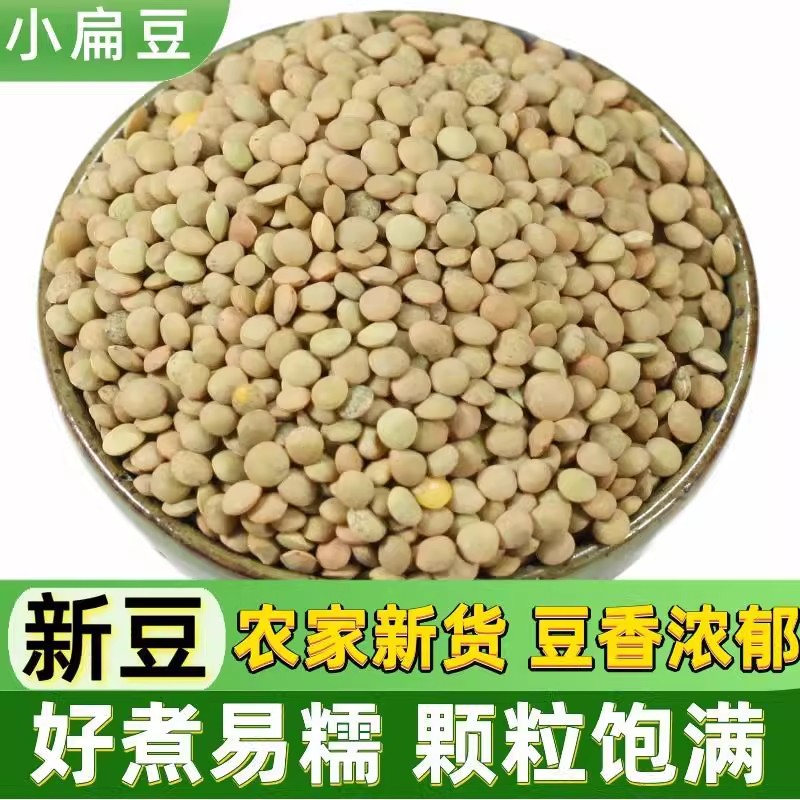 小扁豆500g金豌豆低脂健身五谷杂粮甘肃绿扁豆Lentils发豆芽兵豆