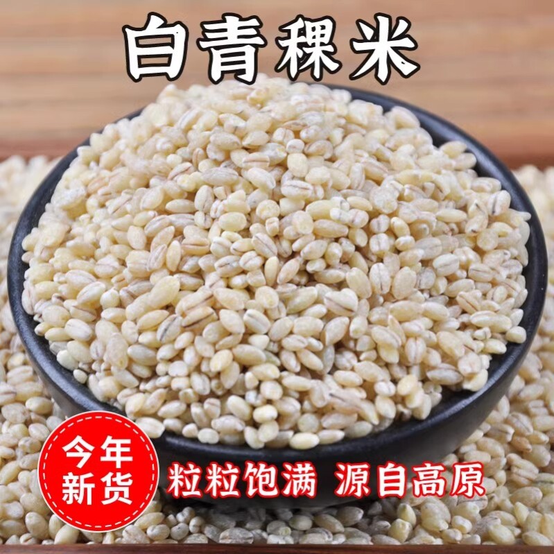 优质青稞香米青海西藏高原西苗蓝白黑青稞米五谷杂粮麦仁粥蒸米饭