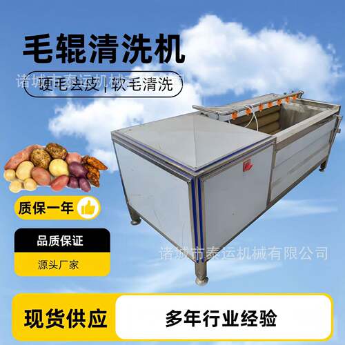 材黄精毛辊清洗机灰枣U型毛刷清洗机胡萝卜大姜毛辊清洗设备