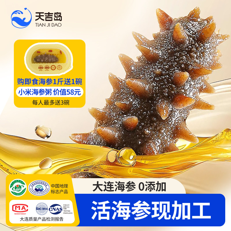 大连鲜食活海参辽参鲜活即食底播滋补刺参500g年货冷链直达天吉岛