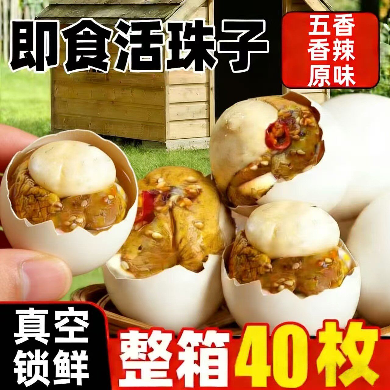 新鲜13天白壳活珠子鸡胚蛋即食