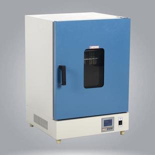 鼓风干燥箱电热恒温烘箱实验室玻璃仪器烘干箱高温工业烤箱 立式