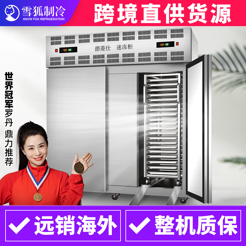 德菱仕包子速冻柜定制-45度海参速冻机冷藏冰柜商用速冻柜冷冻柜