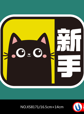 女司机新手实习反光磁性贴磁力贴汽车车饰银白P色红色绿色紫色黄