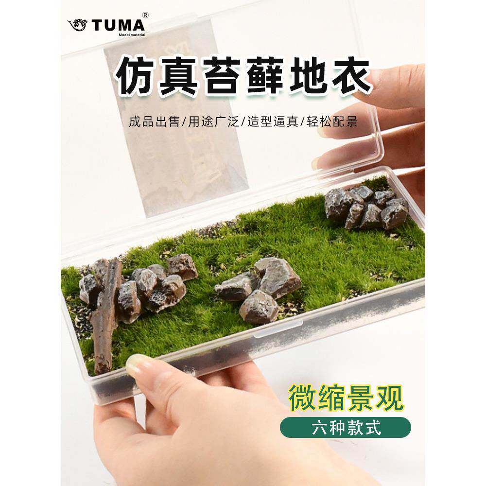 模型场景制作仿真草皮微景观二战苔藓地衣 DIY摆件配景草坪青苔