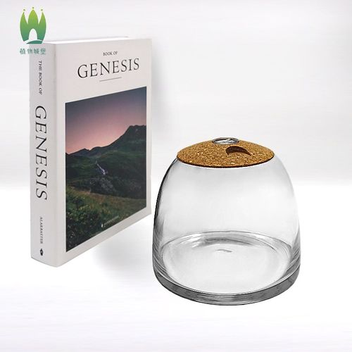 植物城堡苔藓微景观玻璃瓶草缸容器Y生态瓶闷养罐Y带盖空瓶