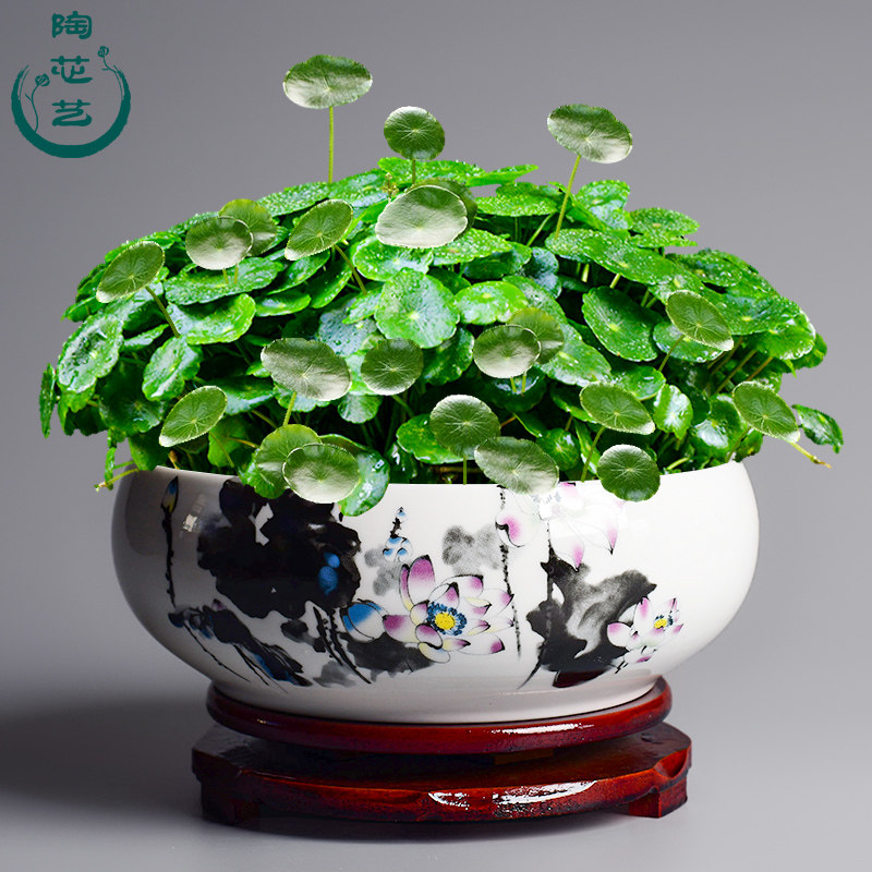仙花盆陶瓷钱草培个性号养睡莲圆形花盘中国风