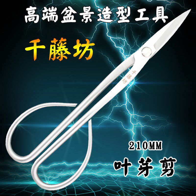 千藤坊叶芽剪剪根剪兰花分苗宇达口钳盆景造专业工具