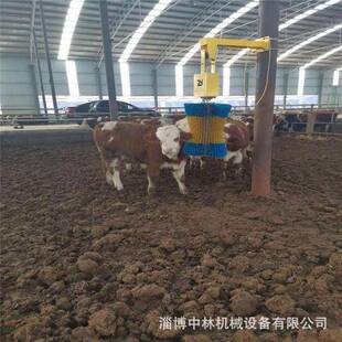 牧场奶厅设备 牛 马 驴 骆驼 羊用智能挠挠痒身体刷 牛体刷